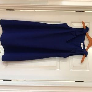 Eliza J blue knee length dress